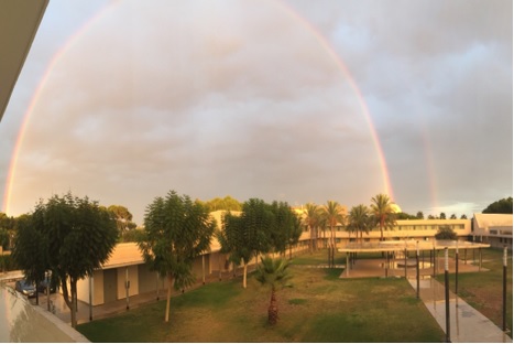 Imagen 2 del IES Francesc Ribalta Imagen 2 del IES Francesc Ribalta