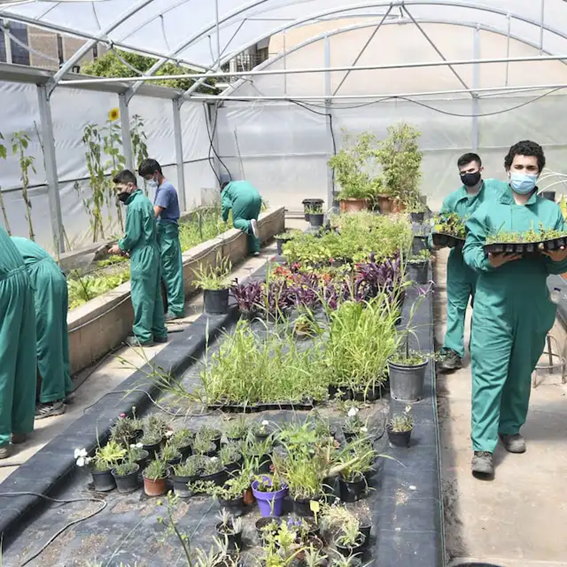 Imagen 2 del IES Ramón y Cajal (Zaragoza) Imagen 2 del IES Ramón y Cajal (Zaragoza)