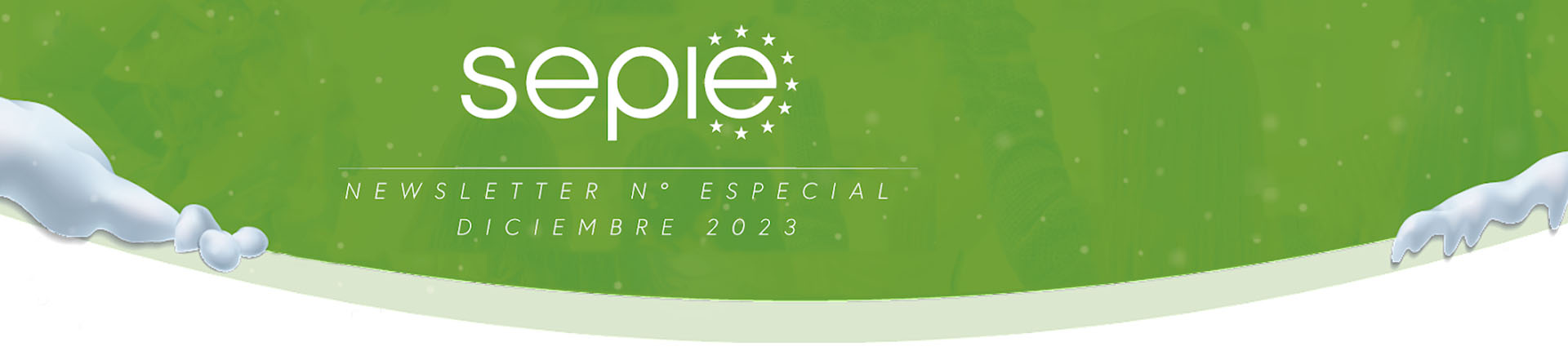 Newsletter SEPIE: especial diciembre 2023